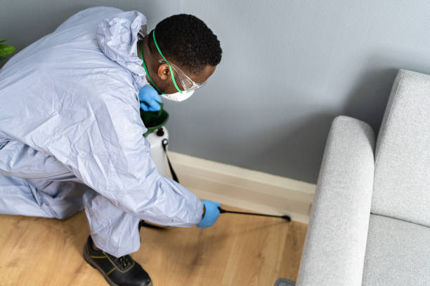 Best Termite Inspection and Treatment  in Elwood, NY